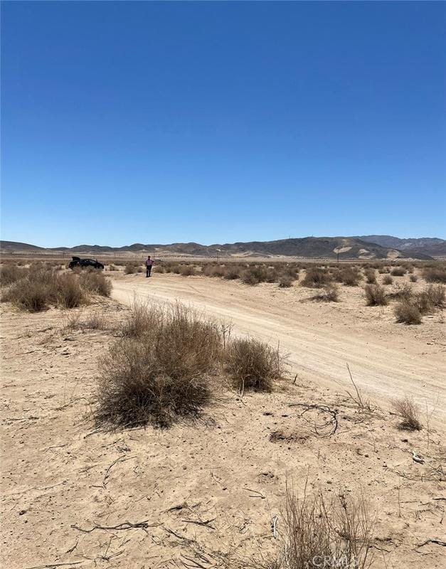 0 Reagan Road, Joshua Tree, CA 92252 for Sale