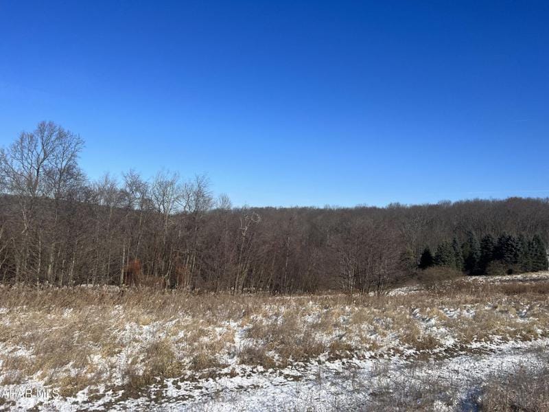 Glen Hope, Clearfield County, PA Undeveloped Land for sale Property ID: 418549025