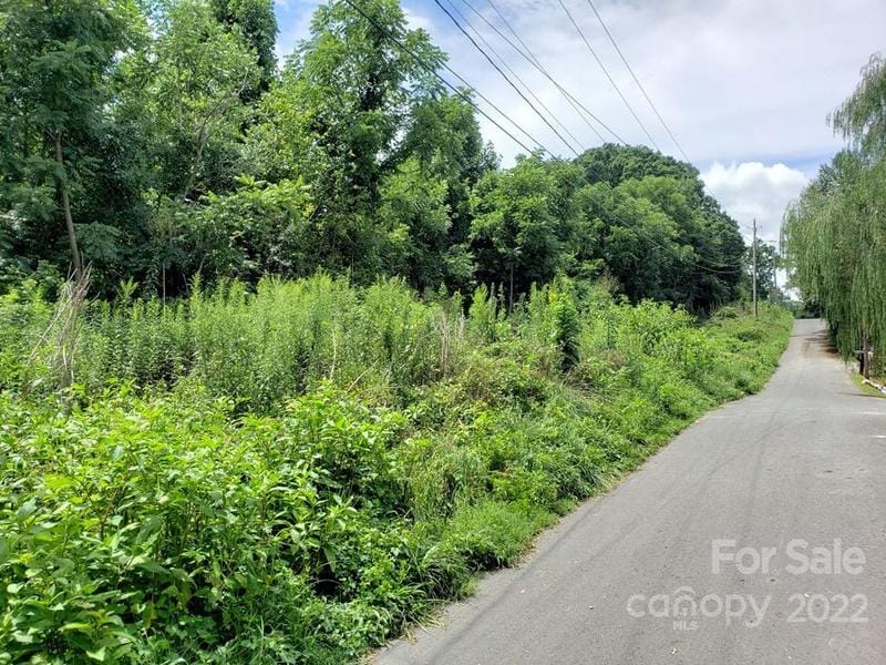 548 Caribou Road, Asheville, NC 28803 for Sale