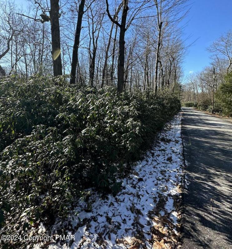 CAYUGA DRIVE, Jim Thorpe, PA 16910 Land For Sale  MLS# PM-112865
