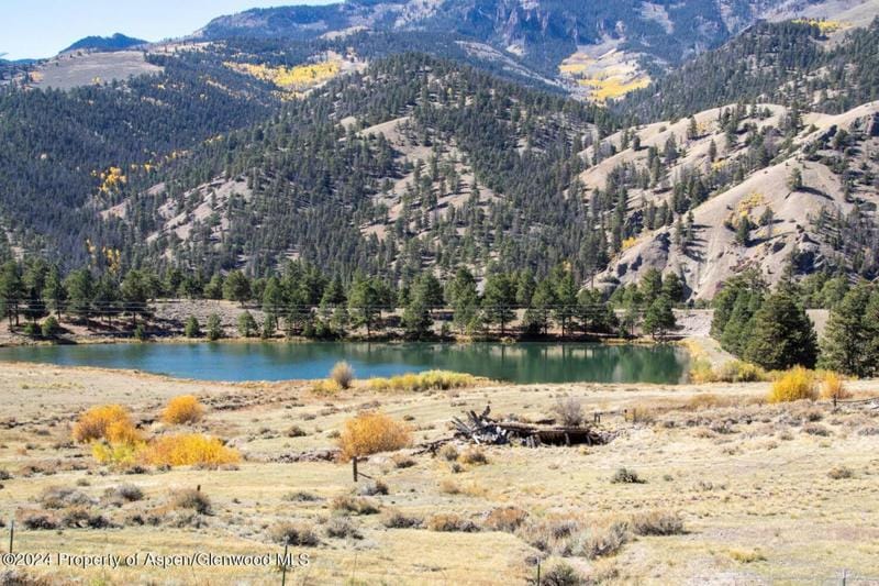 7010 N STATE HIGHWAY 149, Lake City, CO 81235 Single Family Residence For Sale  MLS# 182580
