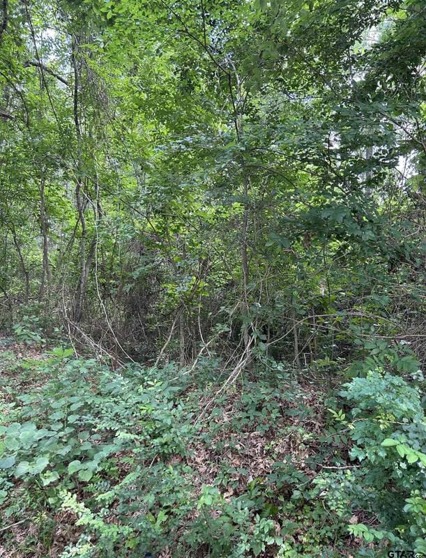 467 Williams Street, Rusk, TX 75785 for Sale