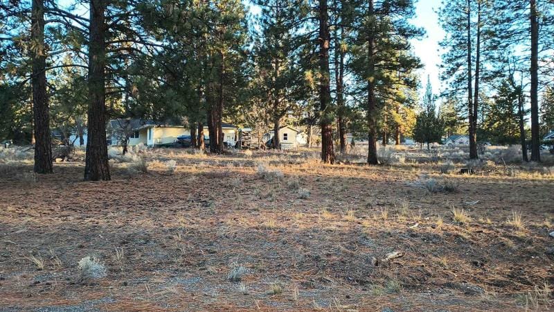 Weed, Siskiyou County, CA Homesites for sale Property ID: 418701935
