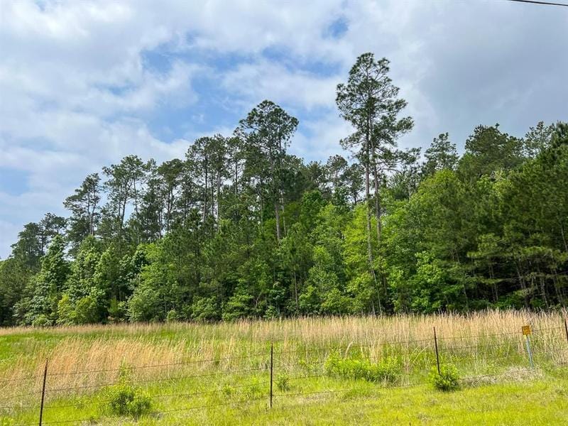 0 Elise Gore Lane, Silsbee, TX 77656 for Sale