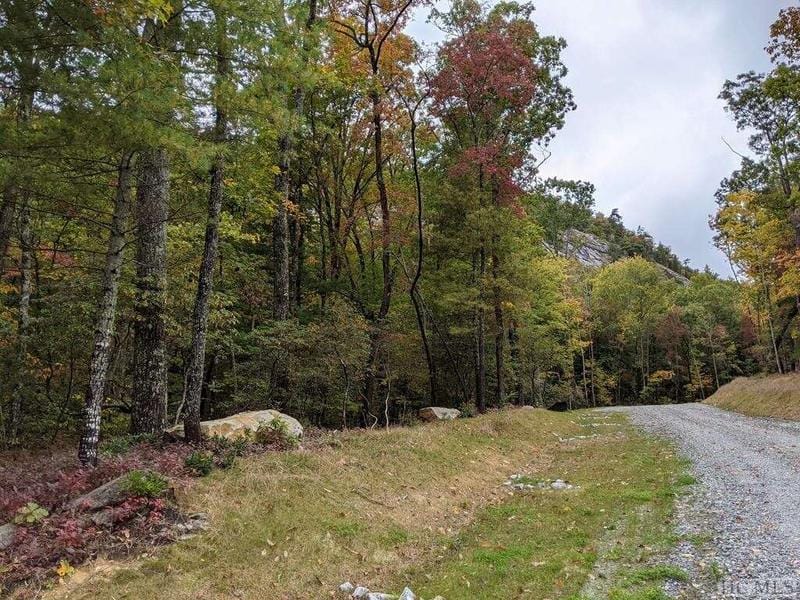 Lot 157 Lonesome Valley Rd, Sapphire, NC 28774  609518412 for Sale