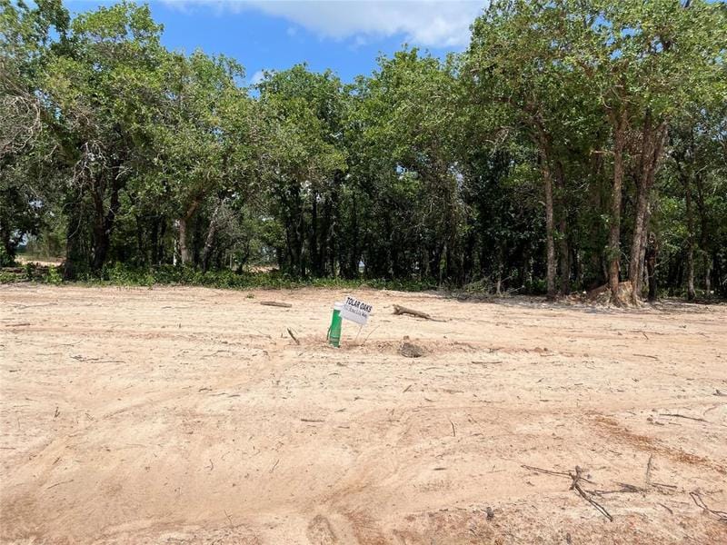 472 Peace Lily Way, Tolar, TX 76476 for Sale