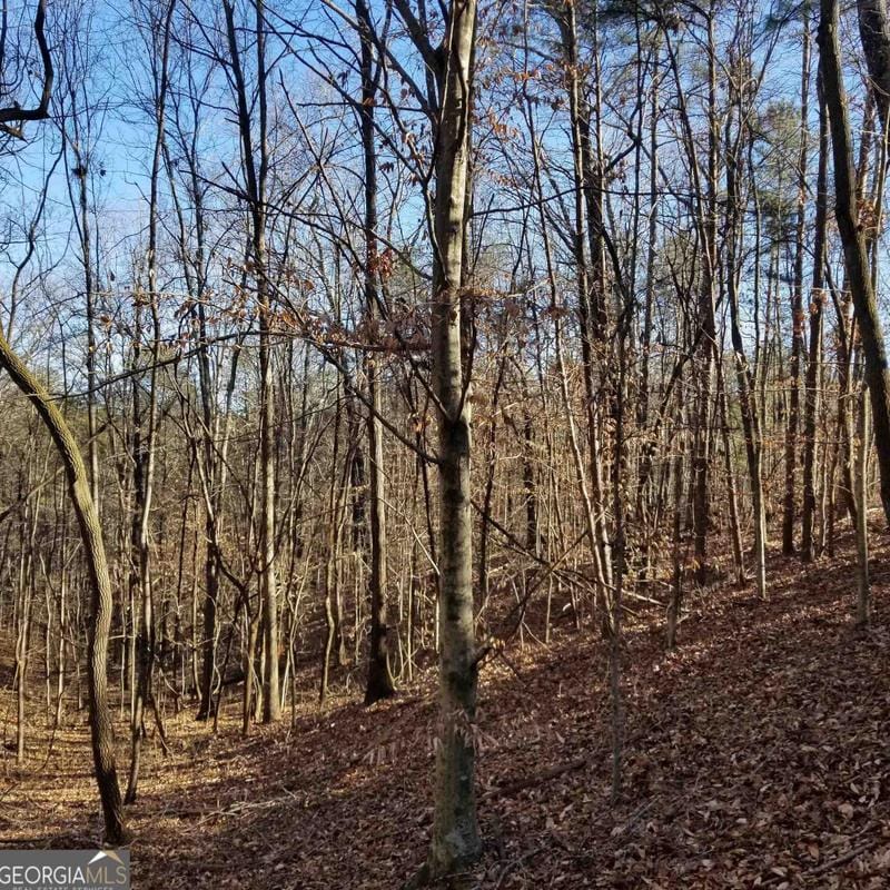 251 Sunset Pl #TRACT 2, Canton, GA 30114 - MLS 20167708 for Sale