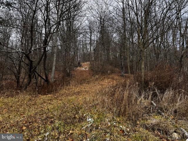 Buffalo Mills, Bedford County, PA for sale Property ID: 418909946