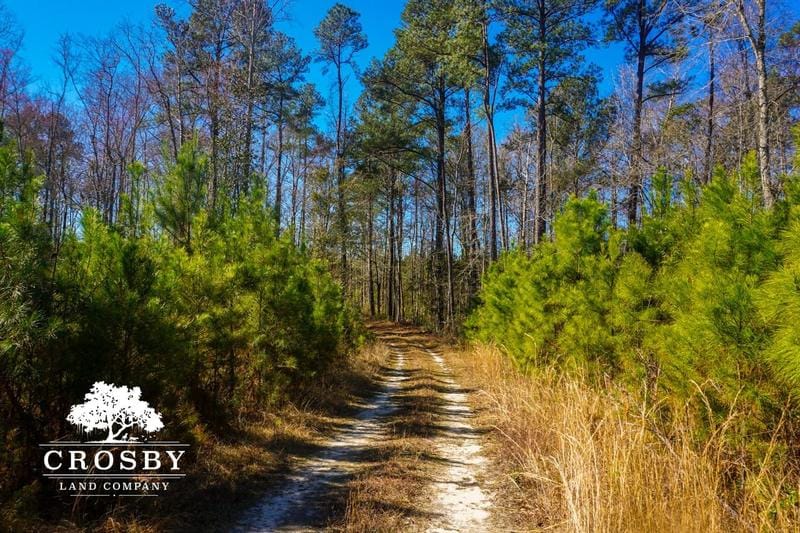 Lodge, Colleton County, SC Recreational Property, Hunting Property for sale Property ID: 418854613