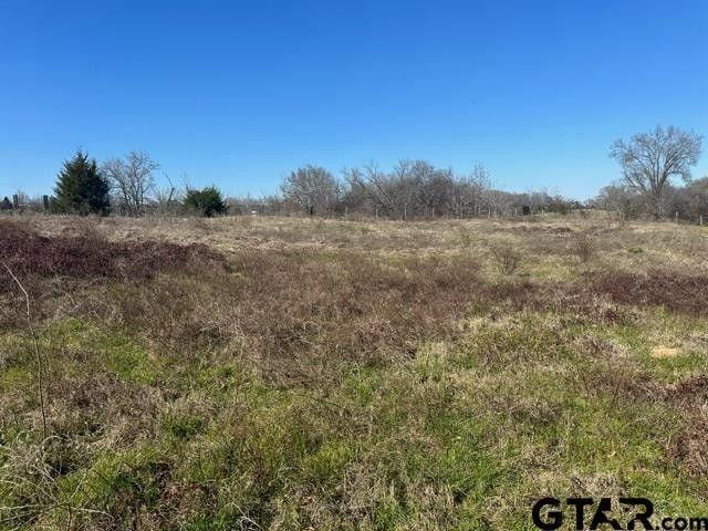 Mineola, Wood County, TX Undeveloped Land, Homesites for sale Property ID: 418850865
