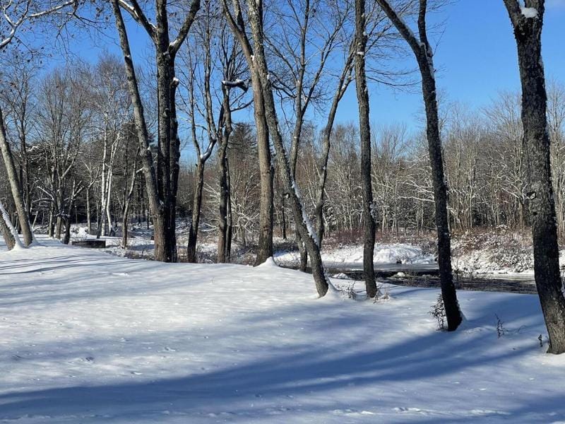 Chester, Penobscot County, ME Undeveloped Land, Lakefront Property, Waterfront Property for sale Property ID: 418644156