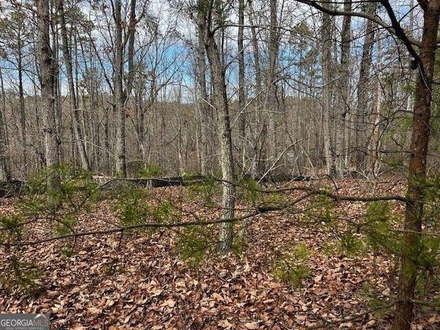 Baldwin, Banks County, GA Undeveloped Land, Homesites for sale Property ID: 418835268