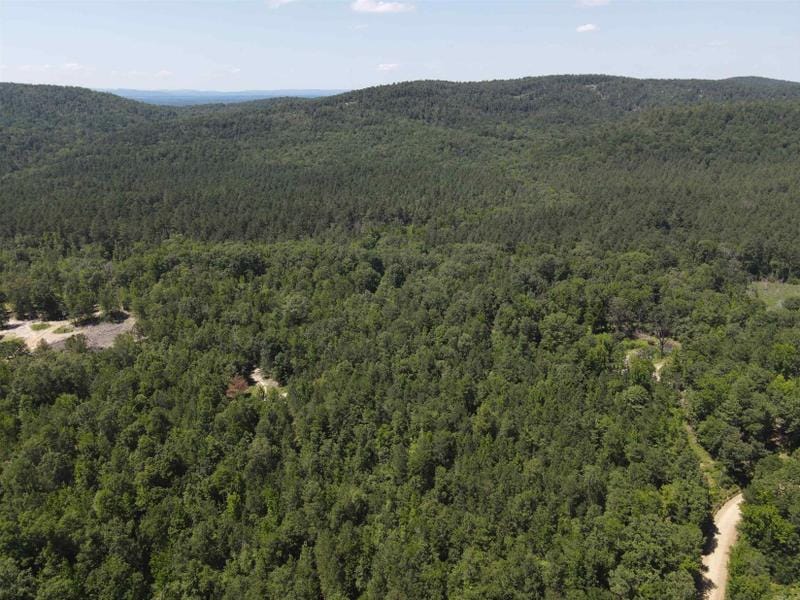Bismarck, Hot Spring County, AR Undeveloped Land for sale Property ID: 418673150