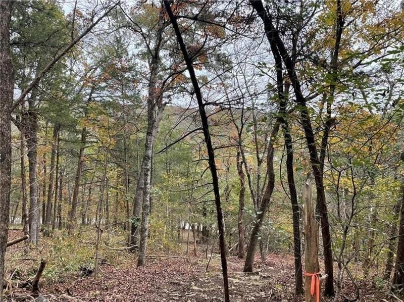 Holiday Island, Carroll County, AR Undeveloped Land, Homesites for sale Property ID: 418866690