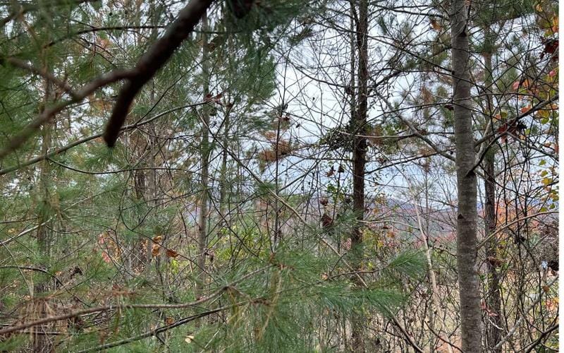 Murphy, Cherokee County, NC Undeveloped Land, Homesites for sale Property ID: 418302025