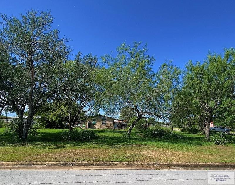 00 Third St L24,25&, LASARA, TX 78561 for Sale