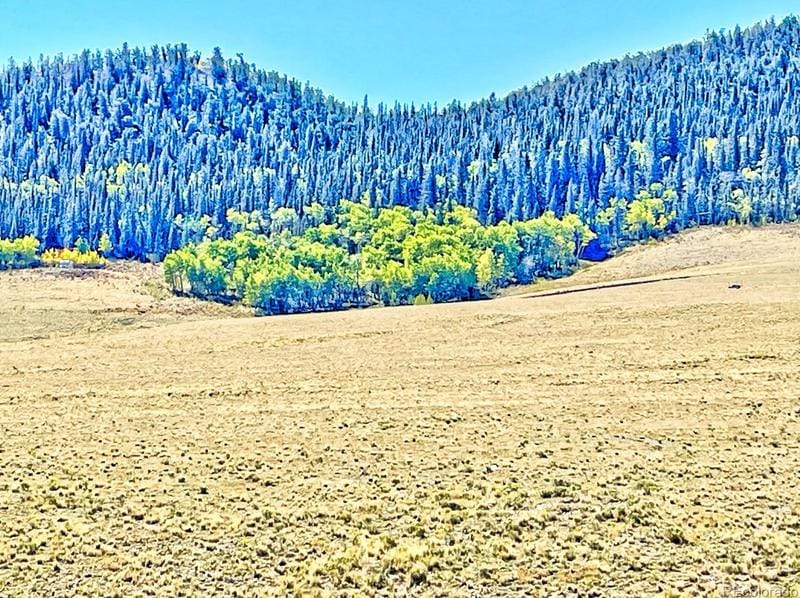 423 Rainbow Dr, Como, CO 80432 - MLS 8829265 for Sale