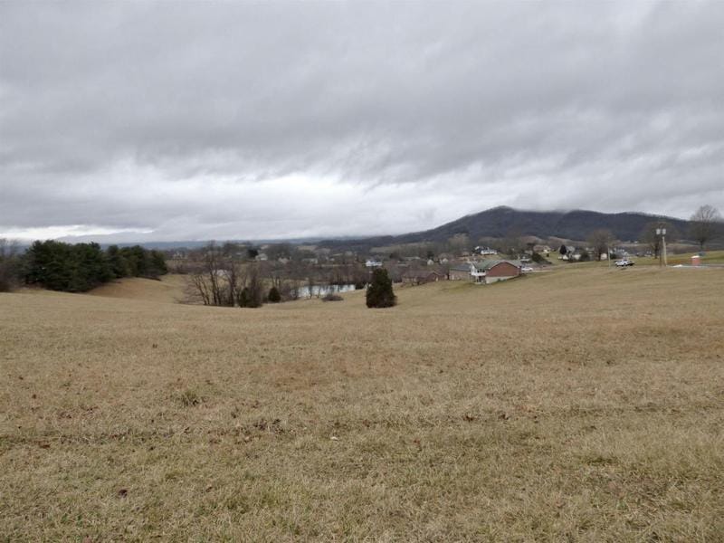 TBD LOT 10 HOLSTON ROAD, Wytheville, VA 24382 Land For Sale  MLS# 420150