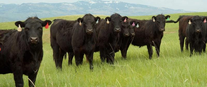 14651 County Road 3, Craig, CO 81625  588504383 for Sale