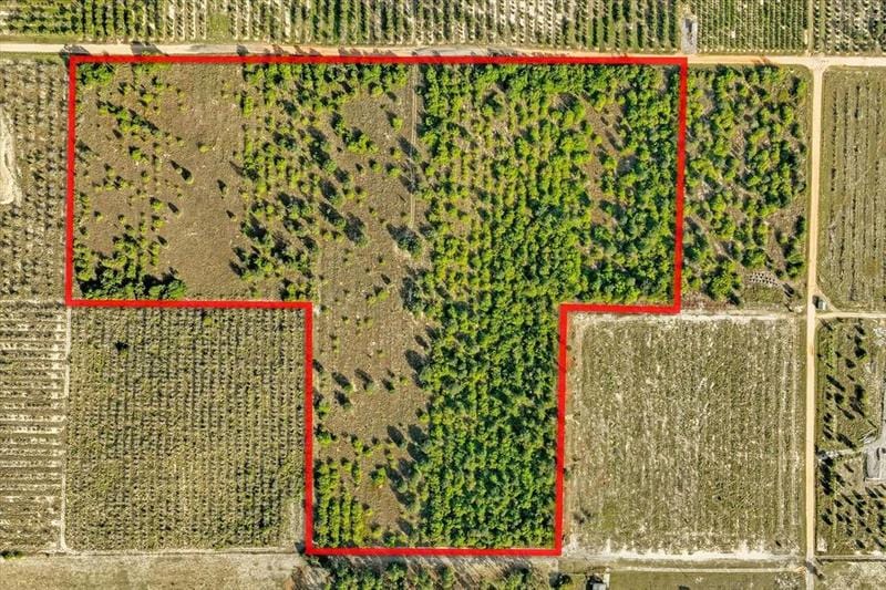 0 J L Massey Rd Lake, Lake Wales, FL 33898 for Sale