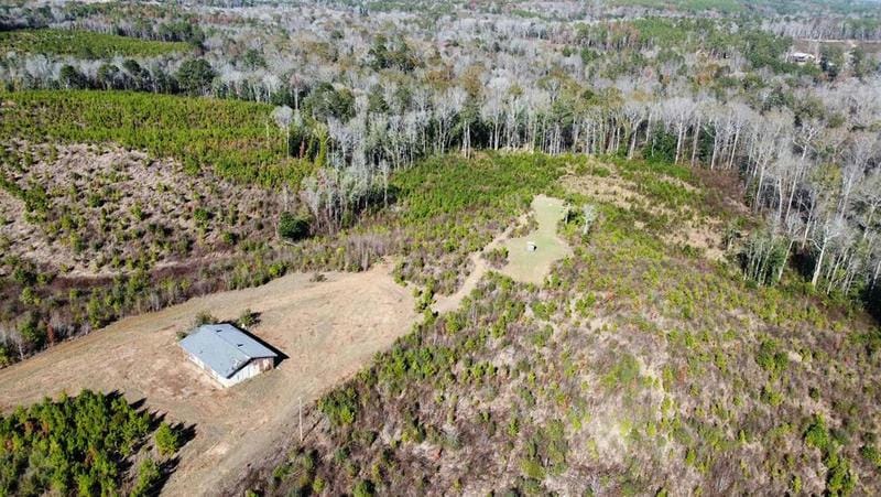 1 LEE BOGGAN RD, Mendenhall, MS 39144 Land For Sale  MLS# 140478