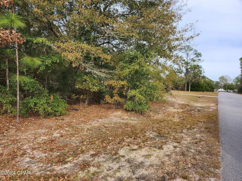 Defuniak Springs, Walton County, FL Undeveloped Land, Lakefront Property, Waterfront Property, Homesites for sale Property ID: