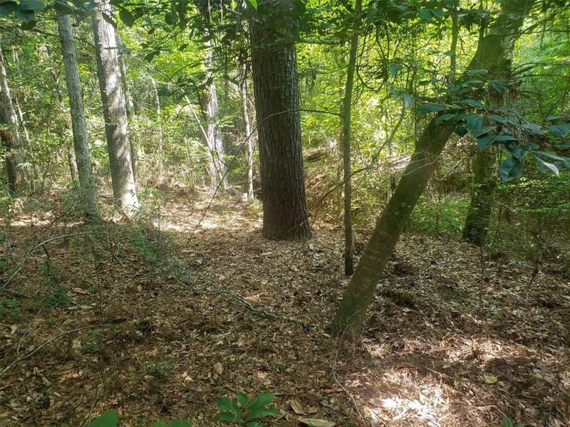 Off County Road 2777, Woodville, TX 75979 for Sale