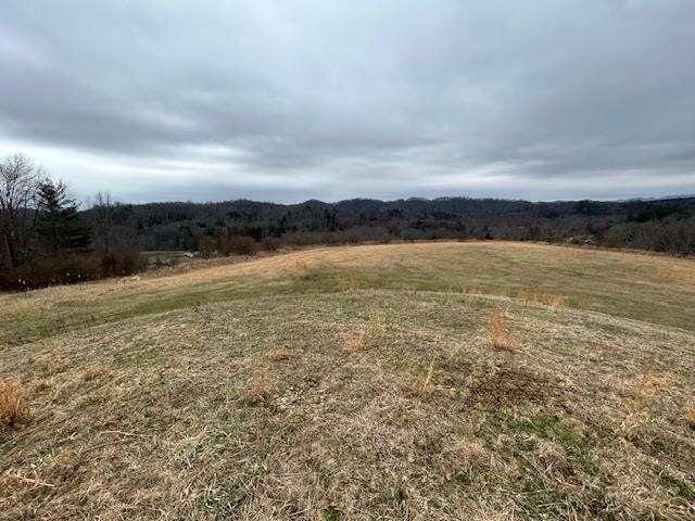 6436 HARPER ROAD, SURVEYOR, WV 25932  624540457 for Sale