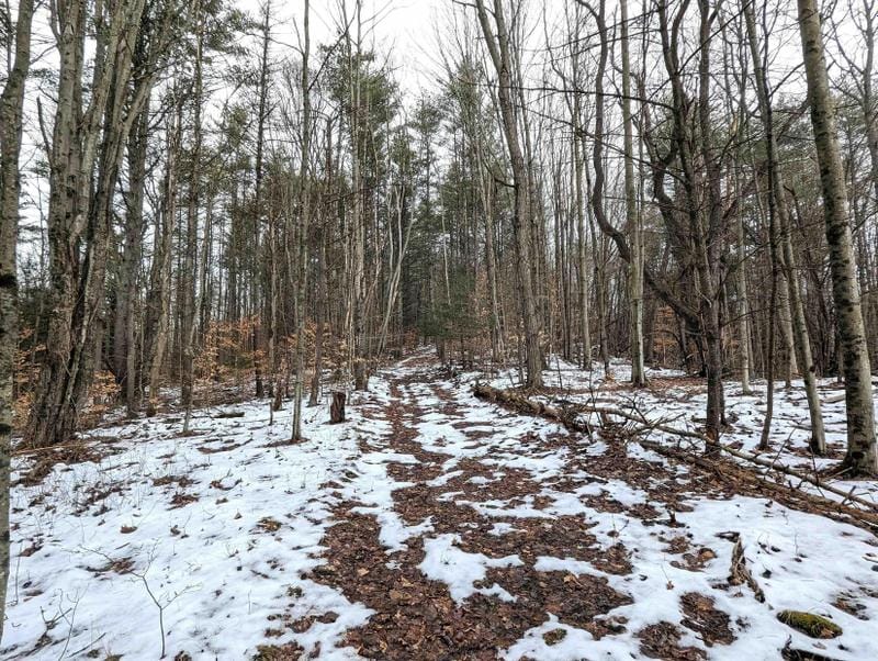 Hornby, Steuben County, NY Timberland Property, Hunting Property for sale Property ID: 418708282