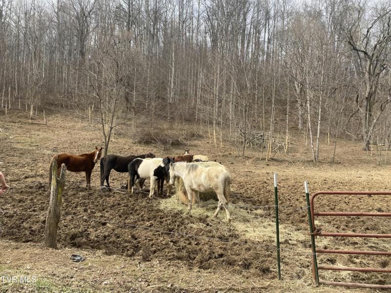 00 FOREST VIEW RD N ROAD, Kingsport, TN 37660 Land For Sale  MLS# 9961788