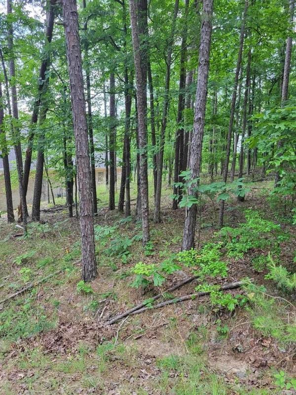 Hot Springs, Garland County, AR Undeveloped Land, Homesites for sale Property ID: 418617637