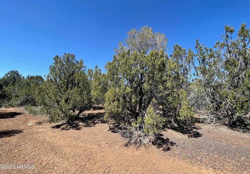 1227 E Forest Service Rd 736, Williams, AZ 86046 - MLS 193292 for Sale