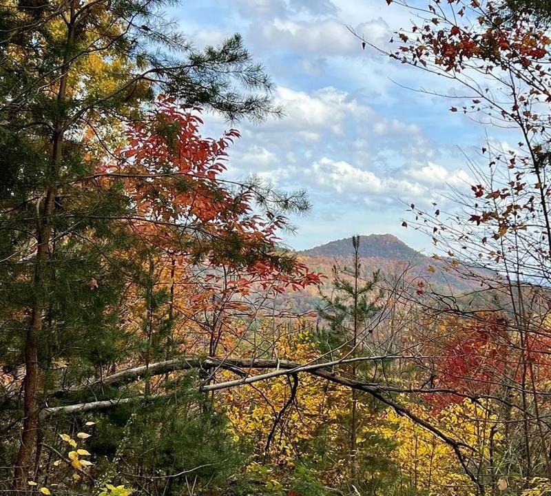 Walland, Blount County, TN Undeveloped Land, Homesites for sale Property ID: 418592293