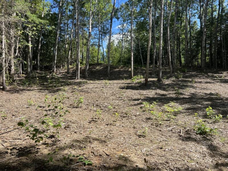 Ellsworth, Hanbird County, ME Undeveloped Land, Homesites for sale Property ID: 418643205