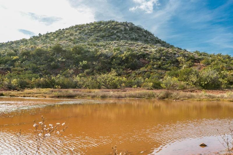 Bronte, Coke County, TX Recreational Property, Hunting Property for sale Property ID: 418627238