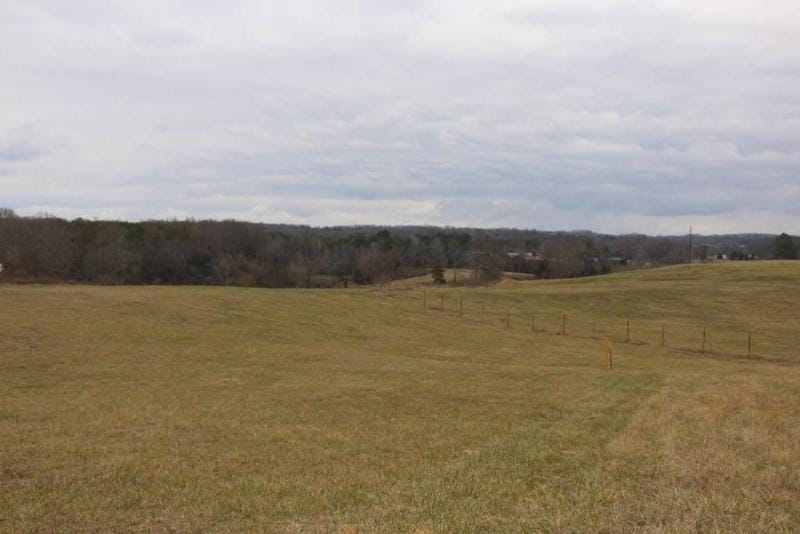 Englewood, Mc Minn County, TN for sale Property ID: 418580617