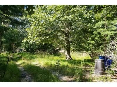 Pricketts Mill Rd for Sale
