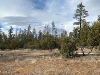 2180 W TORRE LAKE RD, Show Low, AZ 85901 Land For Sale  MLS# 249084