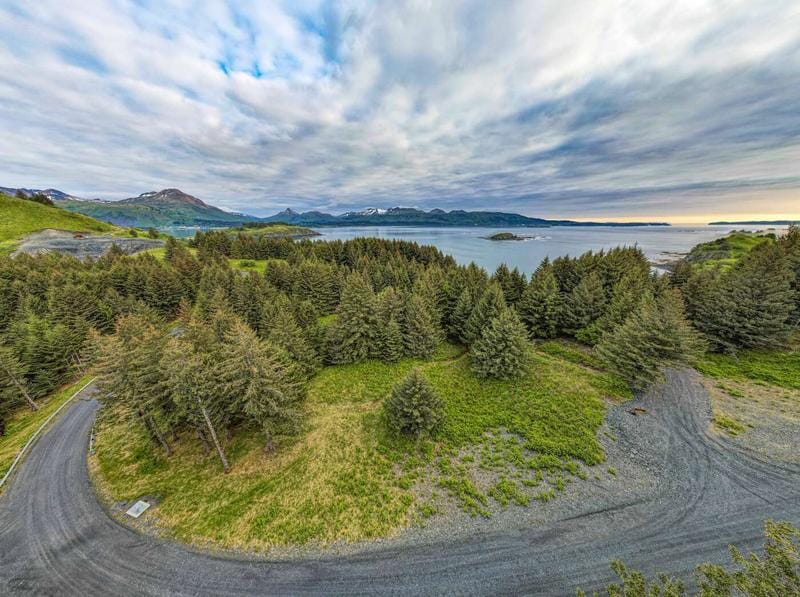 6254 CLIFF POINT RD, KODIAK, AK, 99615, Kodiak, AK 99615  598581075 for Sale