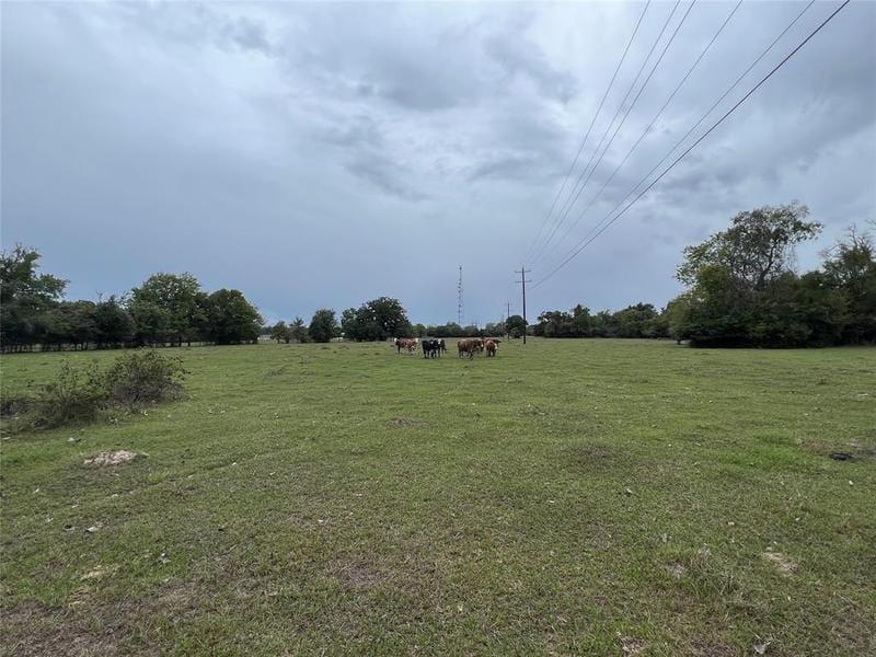 Lot 6 County Road 166, Iola, TX 77861 for Sale