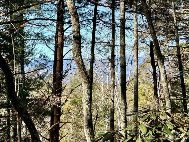 Nebo, Burke County, NC Undeveloped Land, Homesites for sale Property ID: 418781290