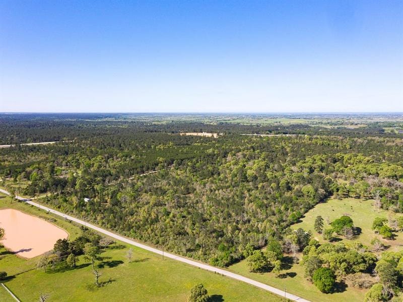 12874 County Road 304, Navasota, TX 77868 for Sale