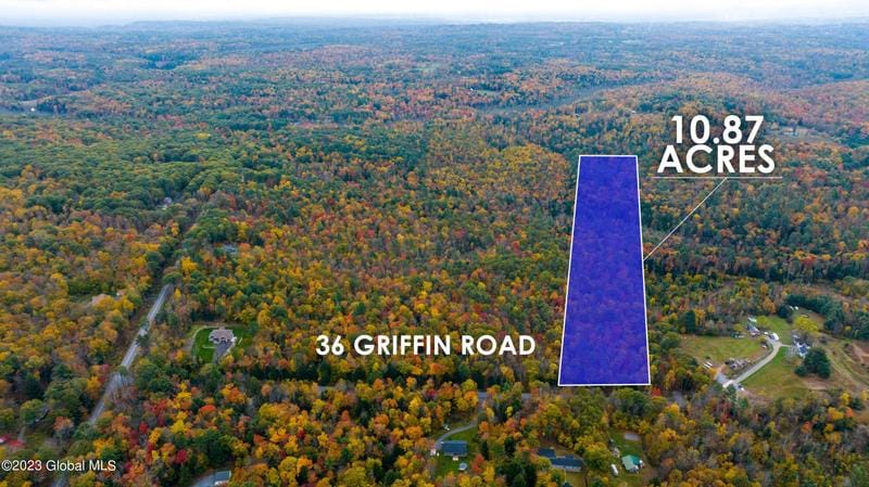 36 Griffin Road, Greenfield Center, NY 12833 for Sale