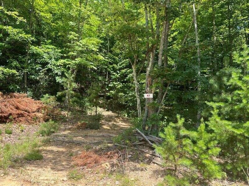 Lot 47 Waiteville Rd, Waiteville, WV 24984  614461567 for Sale
