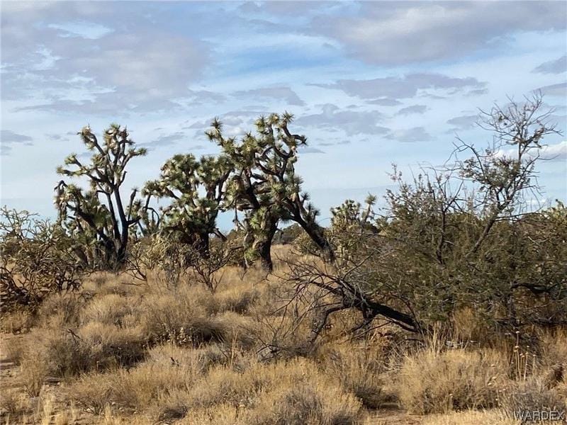 Yucca, Mohave County, AZ Farms and Ranches for sale Property ID: 418551346