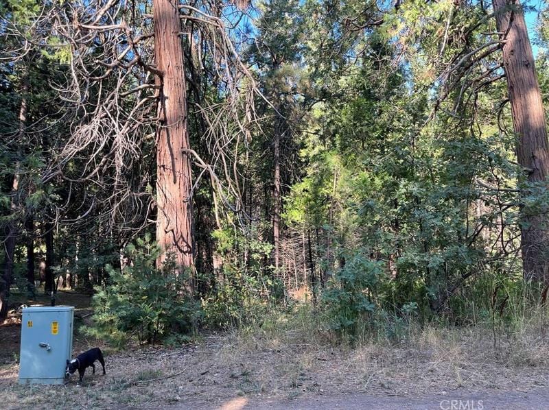7083 Hites Cove Rd, Mariposa, CA 95338 - MLS MC23177641 for Sale