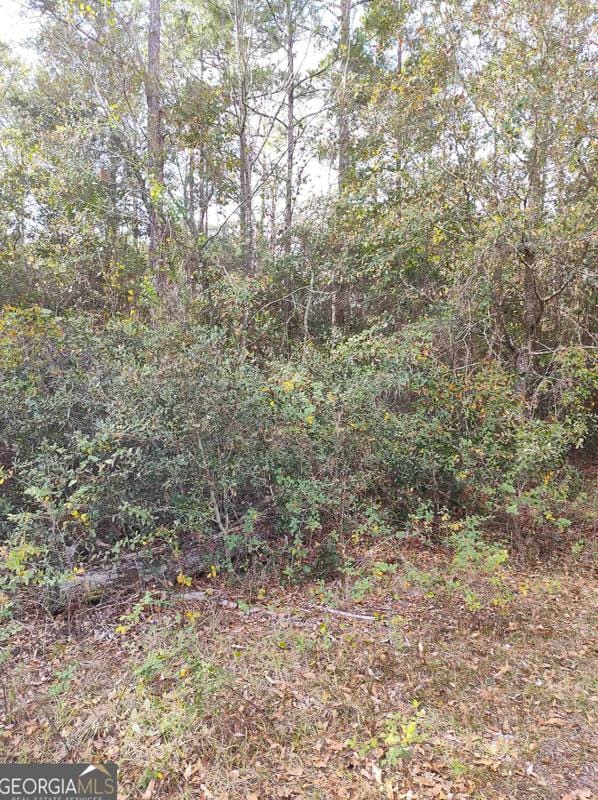 Lot # 26 George Bell Ct, Folkston, GA 31537 - MLS 20164819 for Sale