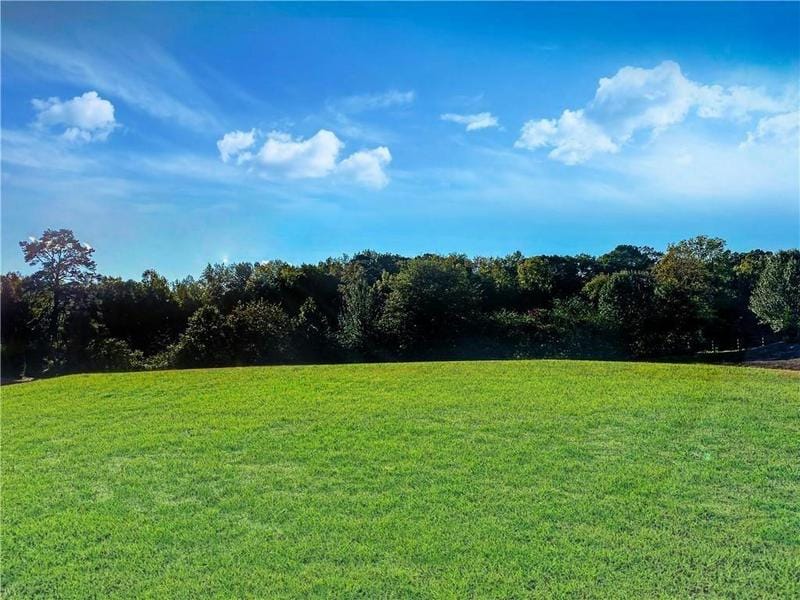 1019 MADISON HALL LN, Milton, GA 30004 Land For Sale  MLS# 7319371
