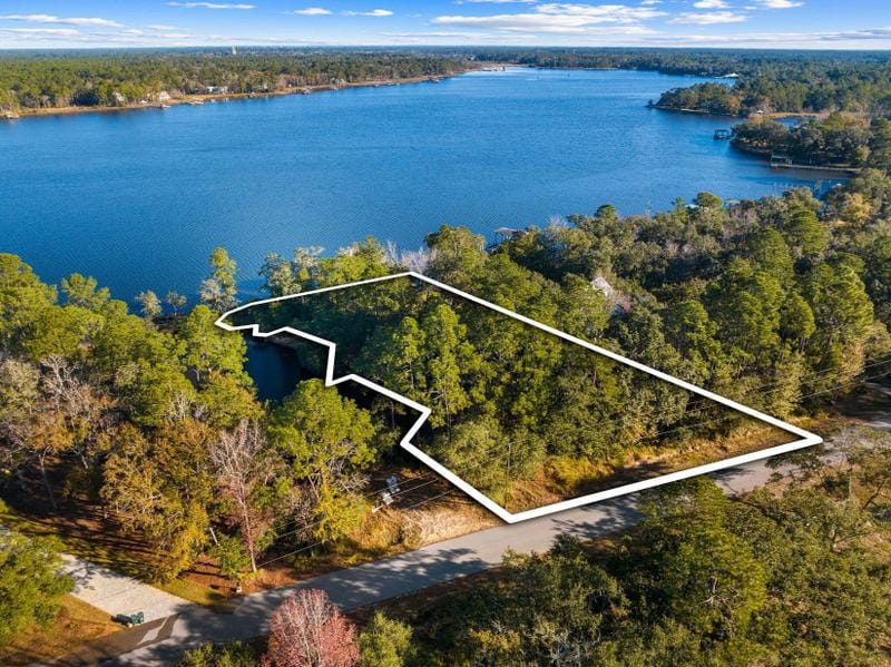 Freeport, Walton County, FL Undeveloped Land, Lakefront Property, Waterfront Property, Homesites for sale Property ID: 418661011