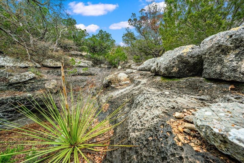 Sonora, Sutton County, TX Farms and Ranches, Recreational Property, Hunting Property for sale Property ID: 418848700